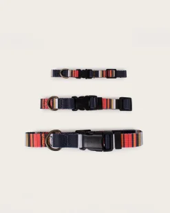 Pendleton NATIONAL PARK ADVENTURE COLLAR ACADIA Clearance