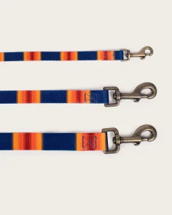 Pendleton NATIONAL PARK ADVENTURE LEASH GRAND CANYON Discount